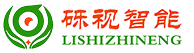深圳市礫視智能科技有限公司
